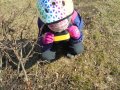 DSC03325