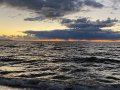 IMG-3436