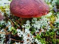 IMG_20210821_193510