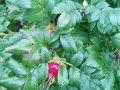 IMG_20220925_173149