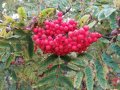 IMG_20220925_173257