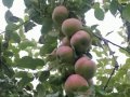 IMG_20220925_173604