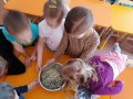 IMG_20210118_100257