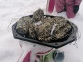 IMG_20210119_112113