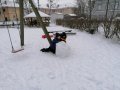 IMG_20210122_113936