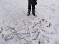 IMG_20210126_115433