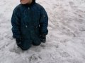 IMG_20210126_115444