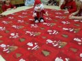 IMG_20201222_103423
