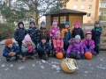 IMG_20231026_103751