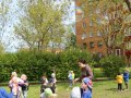 IMG_5991