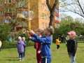 IMG_6046