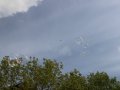 IMG_6119