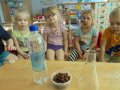 DSC03019