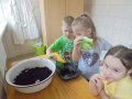 DSC03149