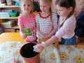 IMG_20210309_110502