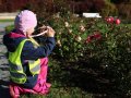 IMG_8401
