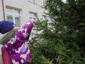 DSC02542