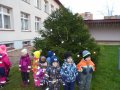 DSC02556