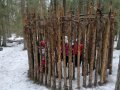 IMG_20220302_113211