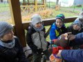 DSC02419