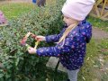 IMG_20201006_112302