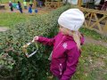 IMG_20201006_113008