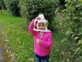 IMG_20201006_113646