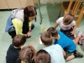 IMG_20201022_095158