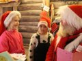 IMG_0378