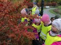 IMG_20210929_103538