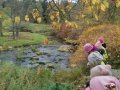 IMG_20210929_110907
