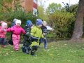 IMG_8611