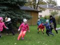 IMG_8621