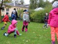 IMG_8625