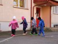 IMG_8684