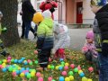 IMG_8810