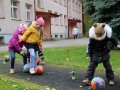 IMG_8865