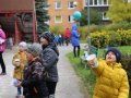 IMG_8924