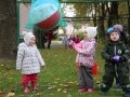 IMG_8962