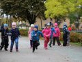 IMG_9260
