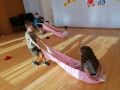 IMG_20200225_111202