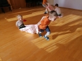 IMG_20200225_111527
